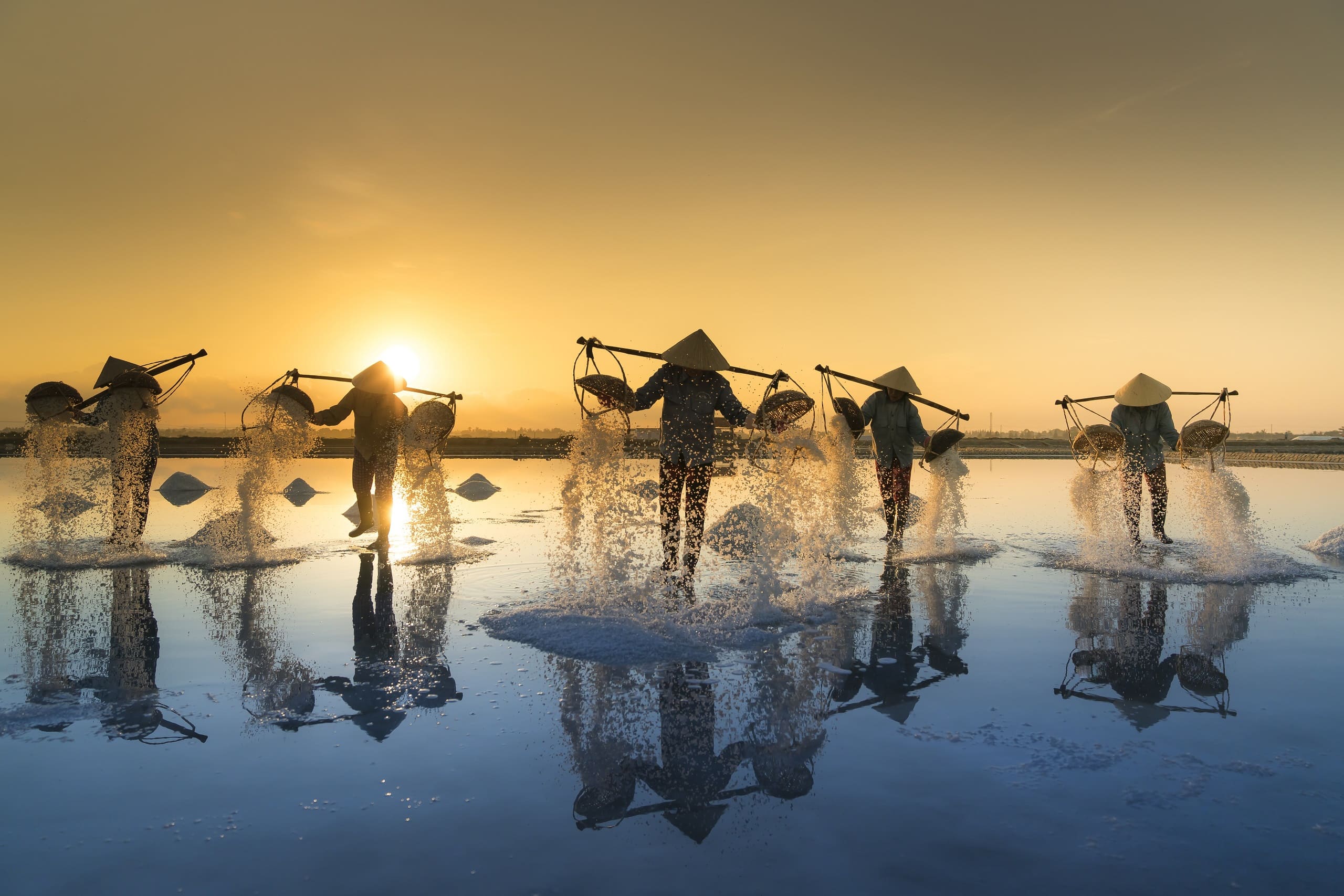 salt-harvesting-3060093 (1)