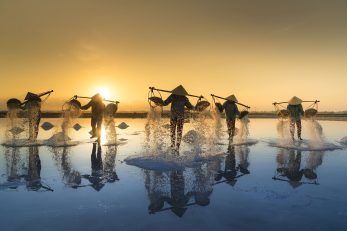 salt-harvesting-3060093 (1)